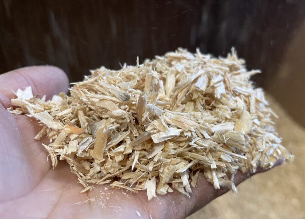 Macinato di Legno di abete